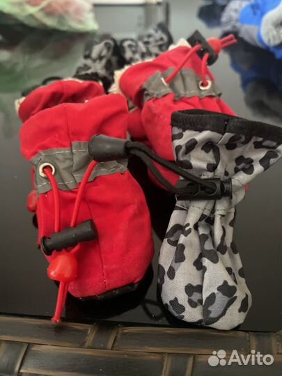 Одежда для собак мини и обувь