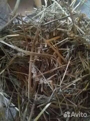 Сено в мешках