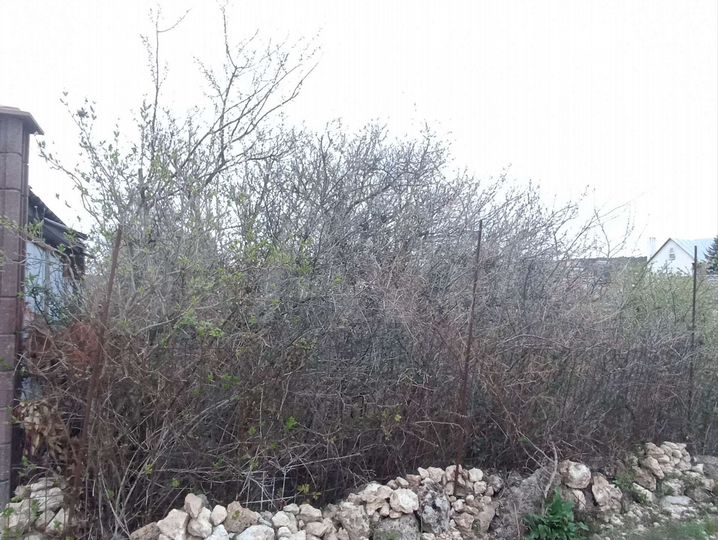 Участок 4,2 сот. (СНТ, ДНП)