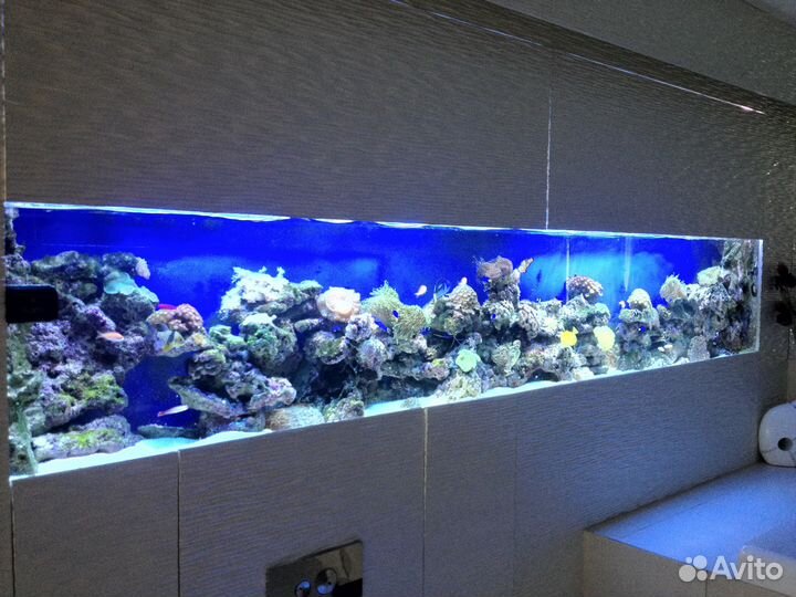 Аквариум, ремонт