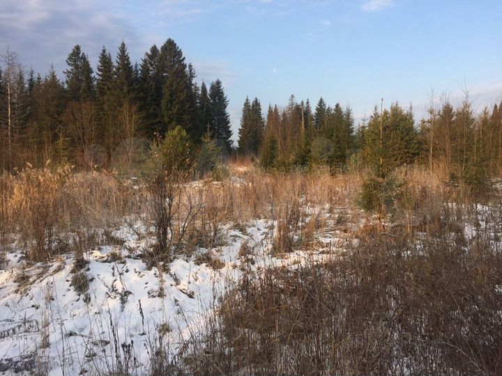 Участок 10 сот. (ИЖС)