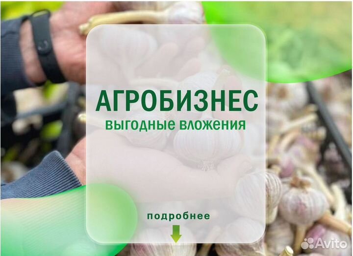 Поиск партнеров в готовый бизнес