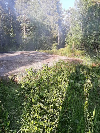 Участок 6 сот. (СНТ, ДНП)