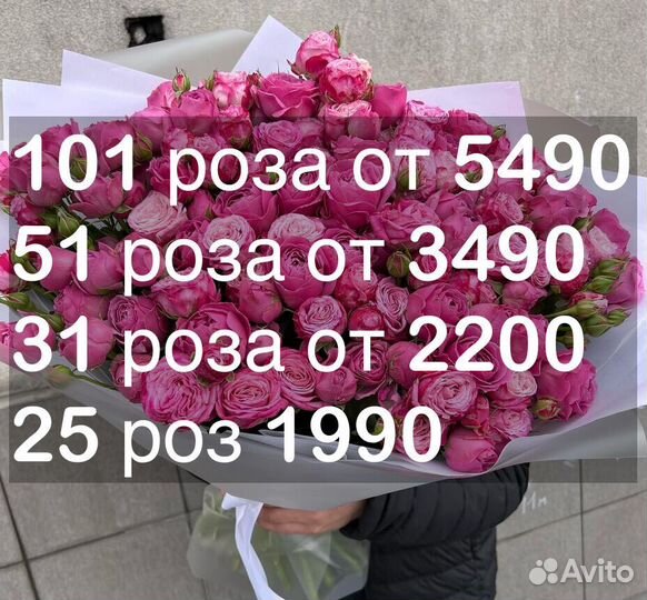 101 роза 31 51 роза Цветы