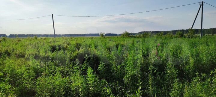 Участок 15 сот. (ИЖС)