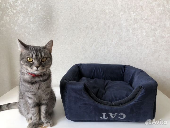 Домик для кошки