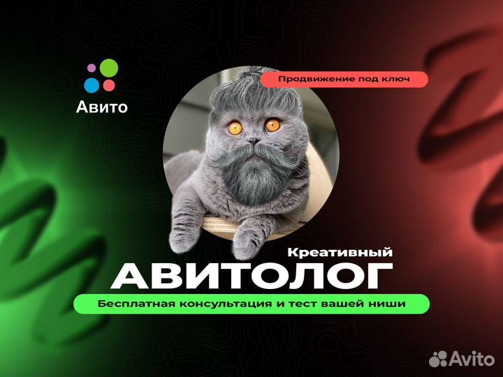 Авитолог / Специалист по Авито
