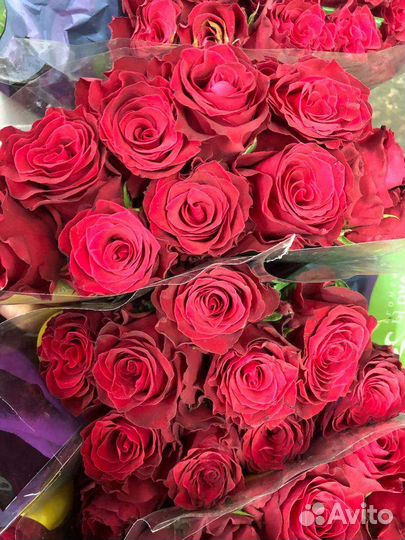 Розы мелкий опт