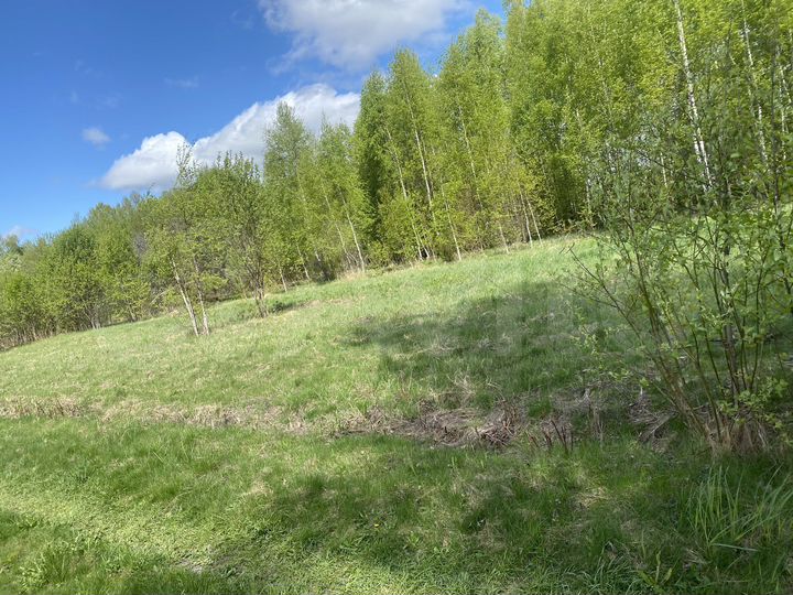 Участок 22 сот. (СНТ, ДНП)