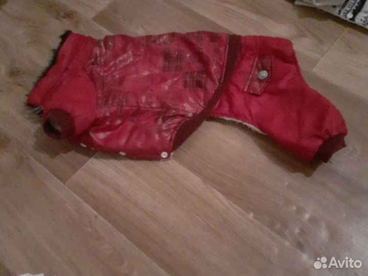 Одежда для маленьких собак