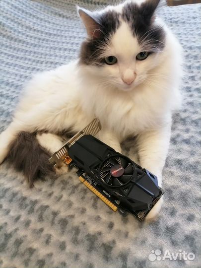 Видеокарта Gigabyte GTX 1050 ti 4gb Low Profile