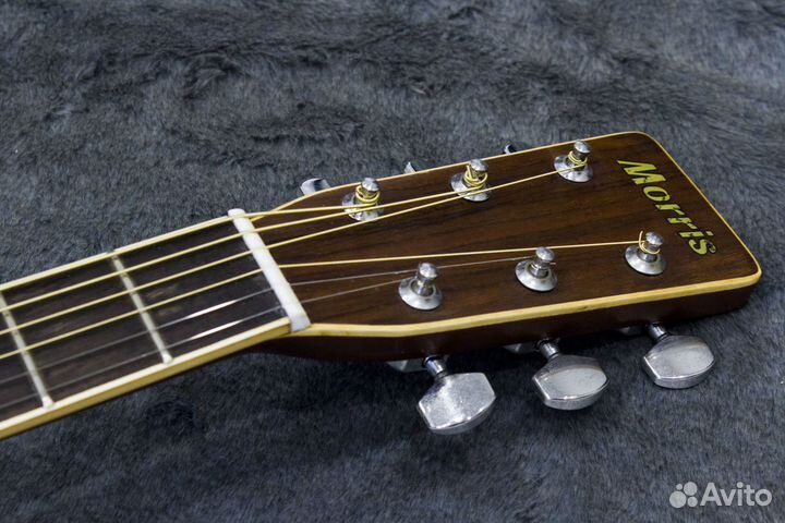 Акустическая Гитара Morris F-20 Japan