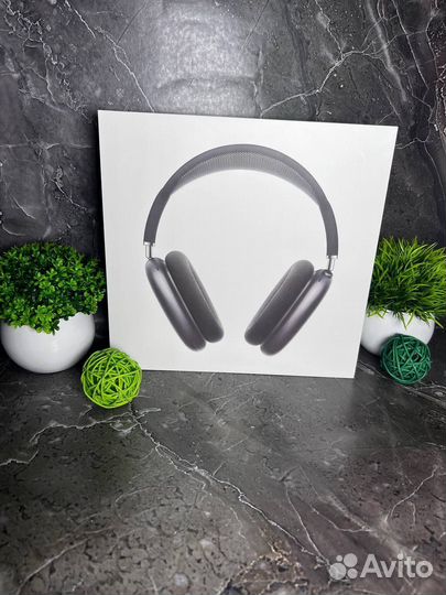 Apple airpods max