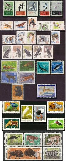 Почтовые марки Фауна Животные СССР и РФ