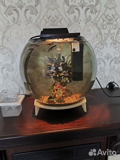 Аквариум с рыбками и аксессуарами