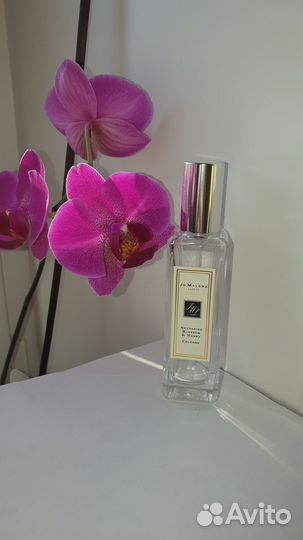 Парфюм Gucci memoire dune odeur Jo Malone Nectarin