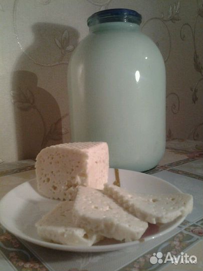 Сыр домашний из козьего молока