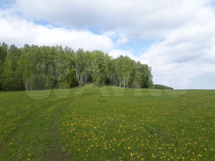 Участок 100 га (СНТ, ДНП)