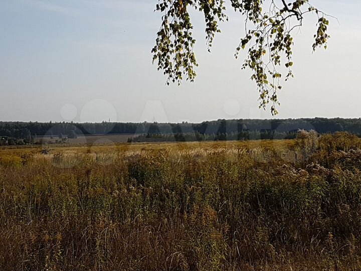 Участок 50 сот. (СНТ, ДНП)