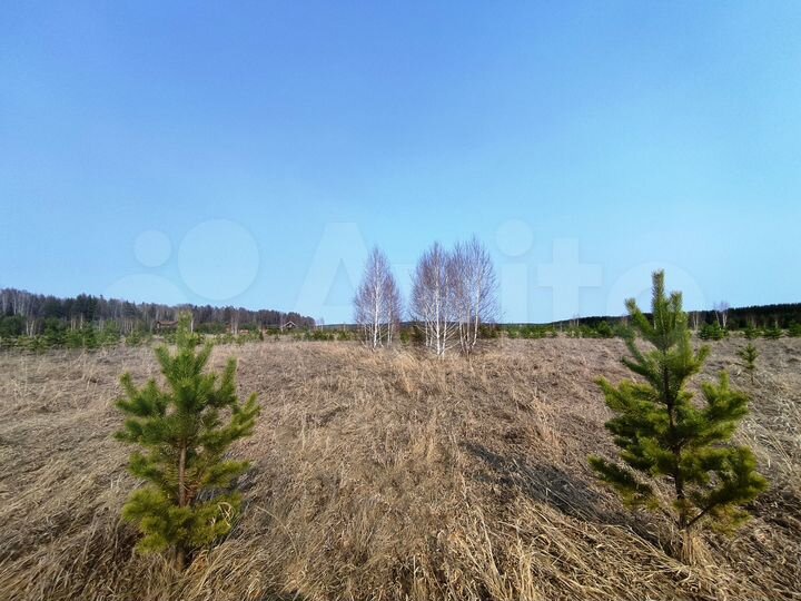 Участок 13 сот. (СНТ, ДНП)