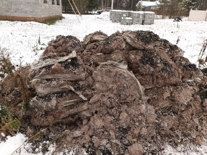 Компост из под шампиньонов