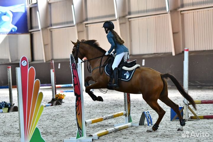 Помогу с лошадью