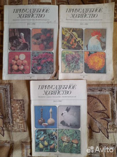 Приусадебное хозяйство