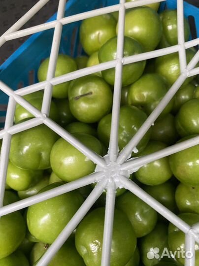 Алыча ящик 4кг крепкая кислая