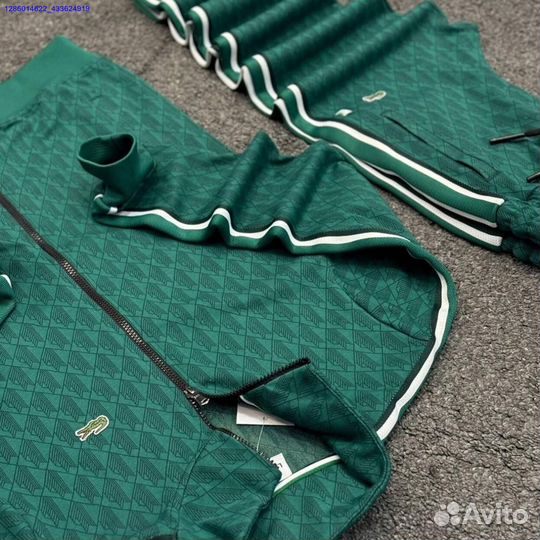 Спортивный костюм lacoste (Арт.79012)