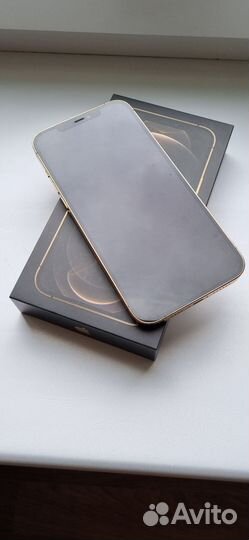 iPhone 12 Pro Max, 256 ГБ