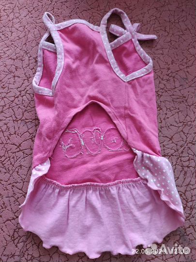 Одежда для маленьких собак