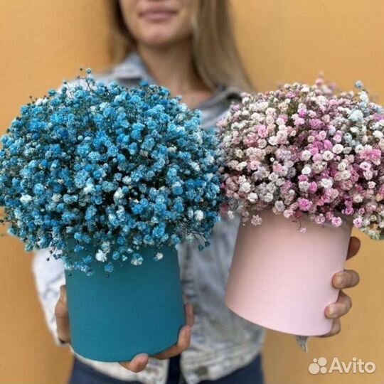 Цветная Гипсофила, букет цветы доставка