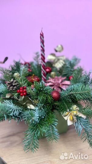 Ель голубая