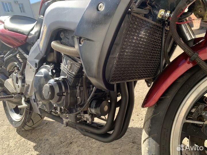 Kawasaki xanthus