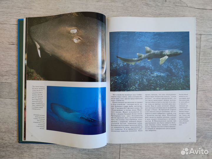 Акулы. Мир животных. Эндрю Клив