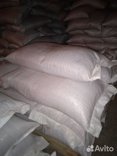 Семена Свекла сахарная протравленная