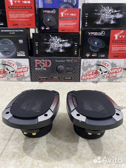 Пионер красавчики 550вт