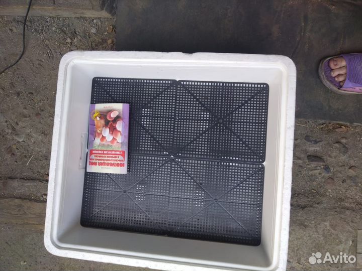 Инкубатор для яиц автоматический