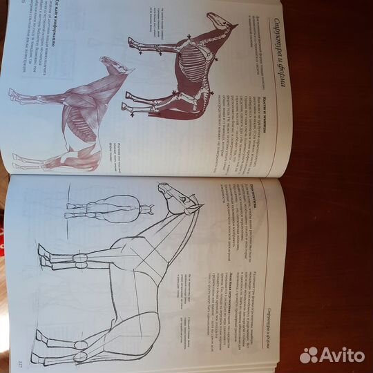 Книга для рисования