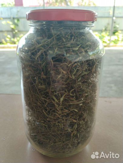 Трава Чабрец