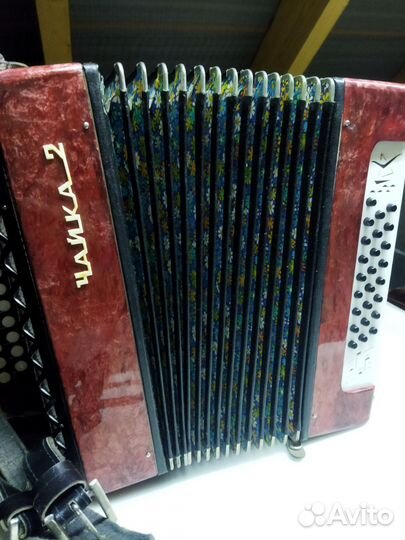 Гармонь шуйская чайка 2