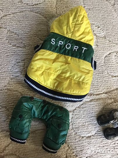 Одежда для маленьких собак