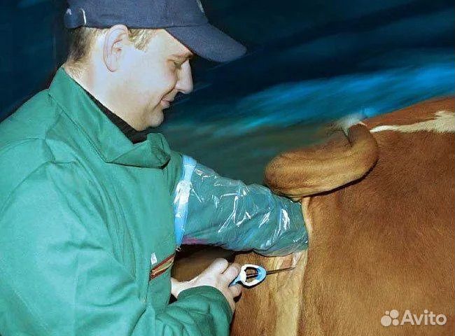 Техник искуственного осеменения(осеменатор) крс