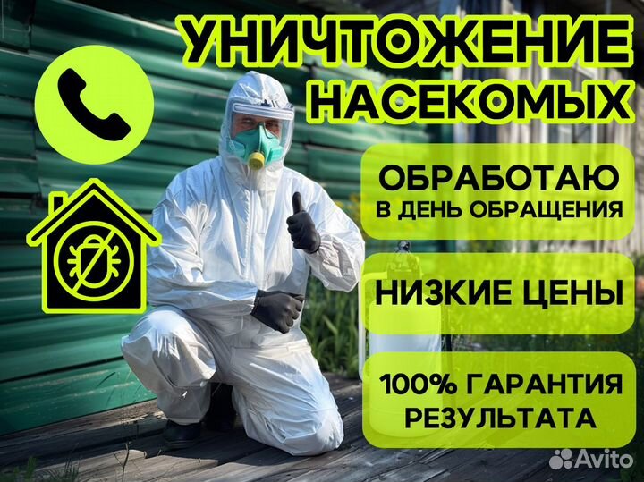 Уничтожение тараканов, клопов Обработка от клещей