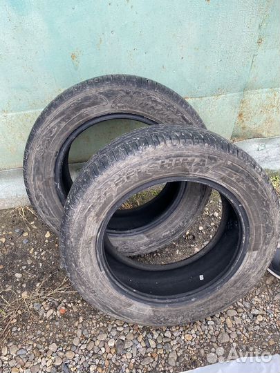 Белшина Бел-81 185/60 R14