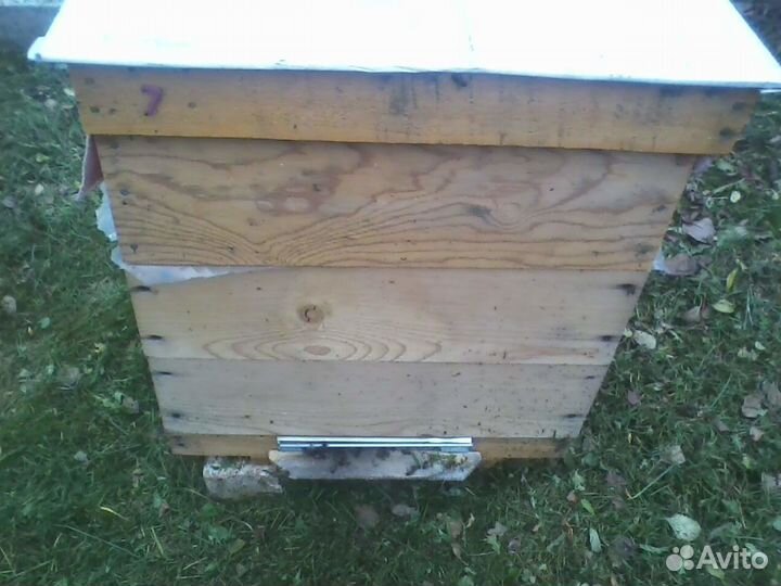 12 рамочный дадан, альпийские ульи