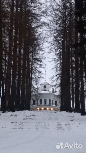 Пеший поход 2.02 усадьба Середниково-Фирсановская