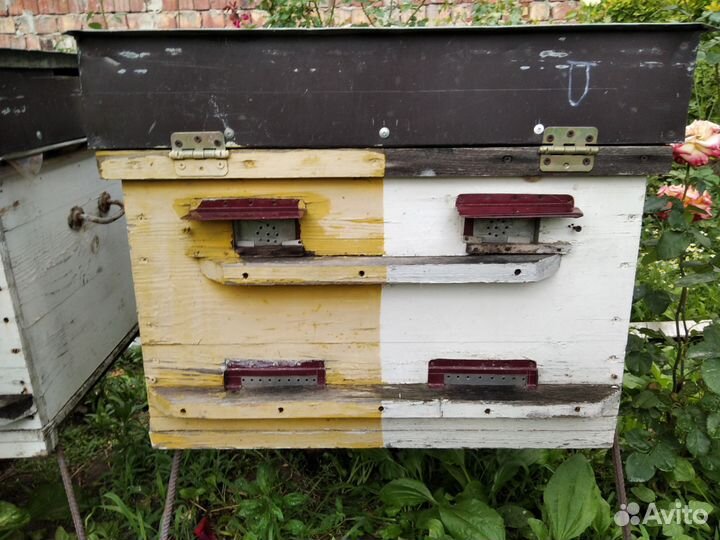 Улей для пчел бу лежачий