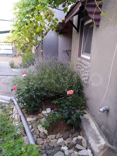 Комната 12 м² в 6-к., 1/2 эт.