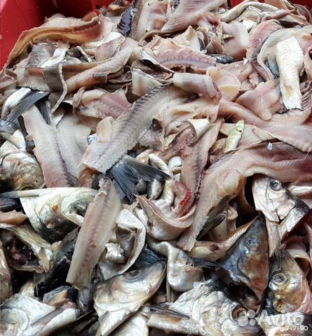 Отдам рыбные отходы